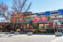 South Slope brewing district Asheville nc