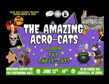 The Amazing Acro-Cats The Amazing Acro-Cats