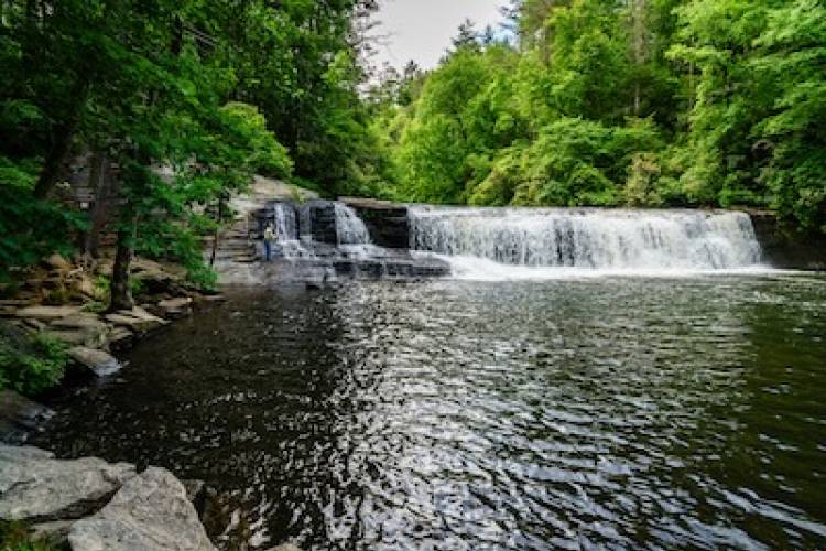 dupont state forest