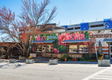 South Slope brewing district Asheville nc