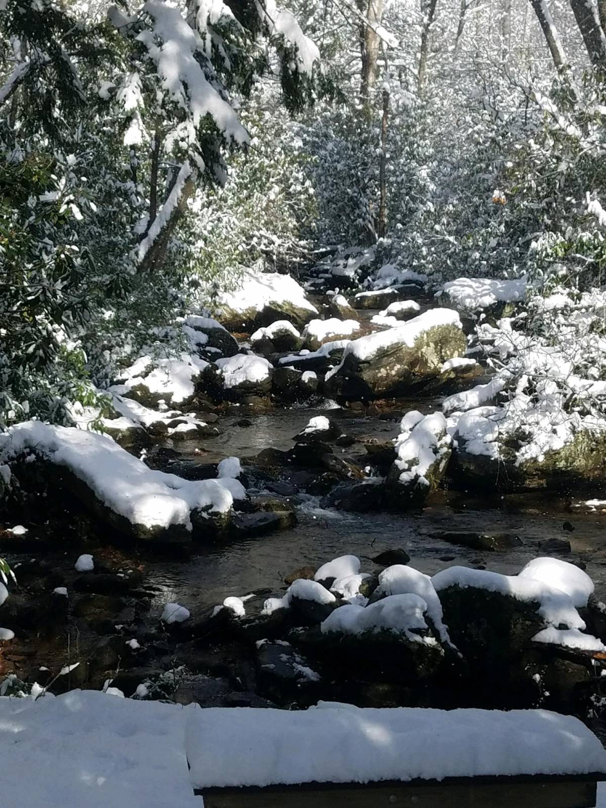 Things to do in Asheville NC in Winter | Greybeard Rentals