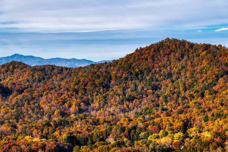 ASHEVILLE FALL HIKING