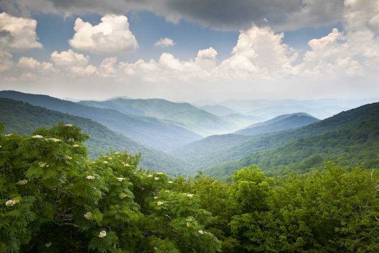 ASHEVILLE SUMMER