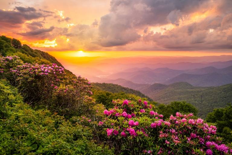 SPRING ASHEVILLE