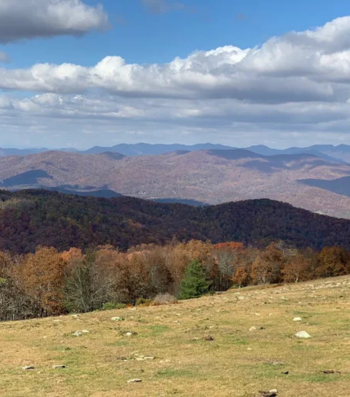 Bearwallow Mountain Trail Fall Hiking in Asheville