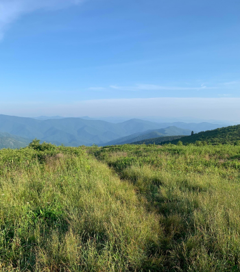 Black Balsam Knob Trail Fall Hiking in Asheville