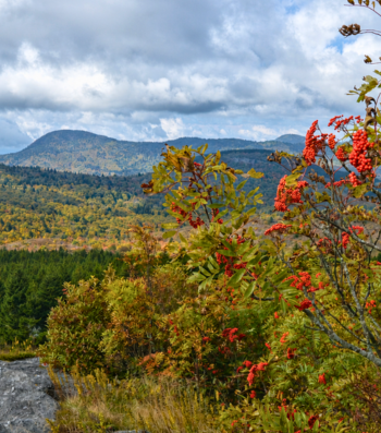 Black Balsam Knob Asheville Fall HIking