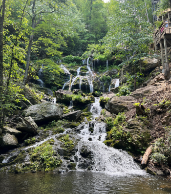 Catawba Falls Trail Fall Hiking in Asheville