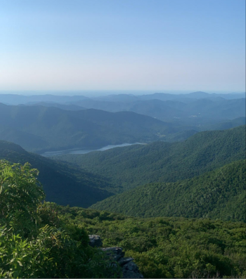 Craggy Pinnacle Trail Fall Hiking in Asheville