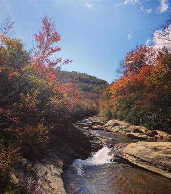 Graveyard Fields - Fall Hiking in Asheville