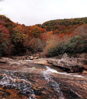 Graveyard Fields Fall Hiking in Asheville