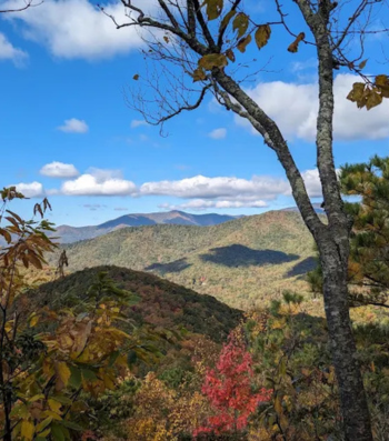 Lookout Mountain Trail Fall Hiking in Asheville