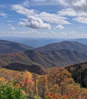 Mount Pisgah Trail Fall Hiking in Asheville