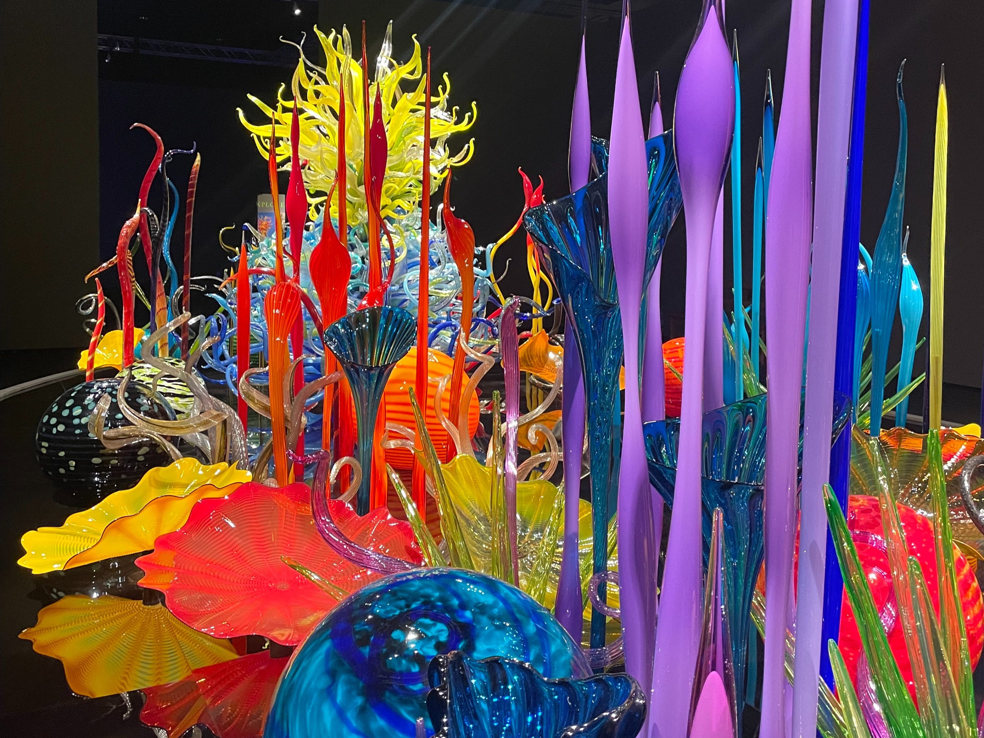 Chihuly exhibit at Biltmore Estate