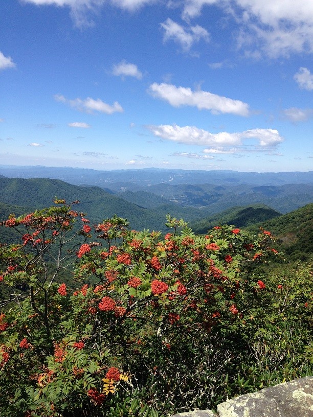 Hikes Close To Downtown Asheville Greybeard Rentals