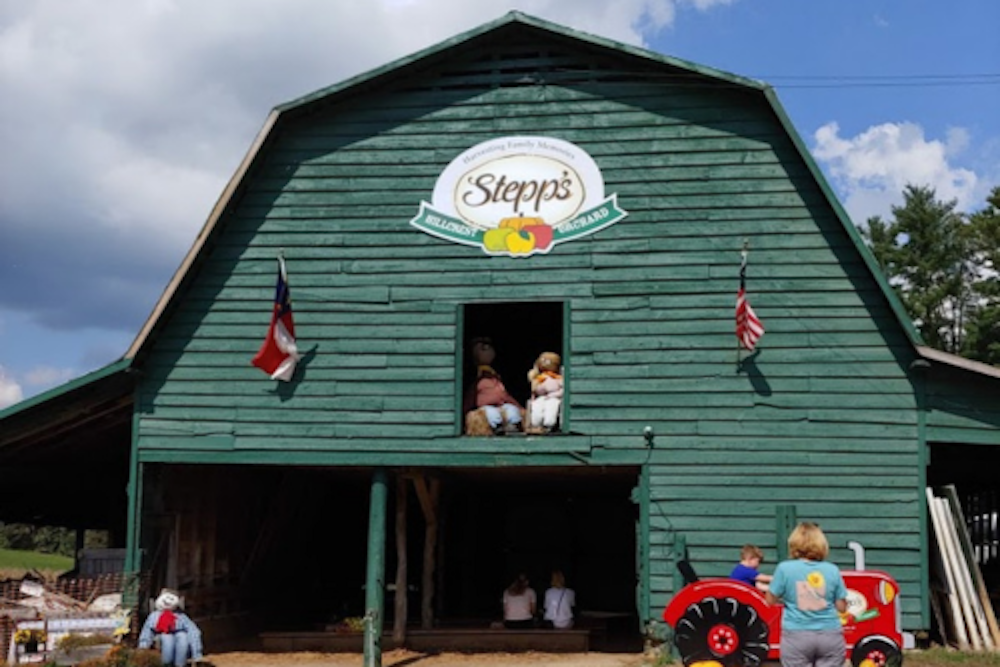 apple picking in asheville